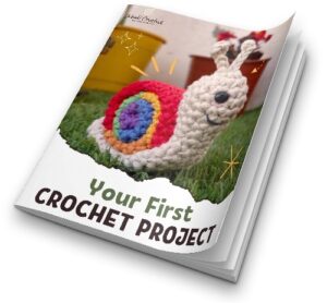Your First Crochet Project