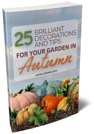 25 Brilliant Decorations and Tips for Your Garden in Autumn